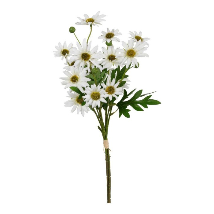 BUNDLE ASTER X 3 WHITE